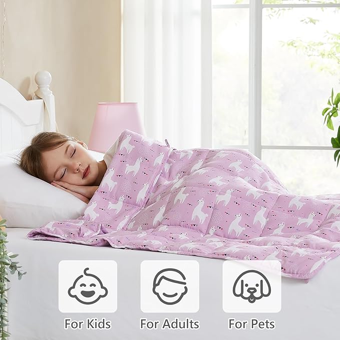 L'AGRATY Weighted Blanket - 36"x48" 5lbs Microfiber Material with Glass Beads Small Blanket for All-Season Summer Fall Winter Soft Thick