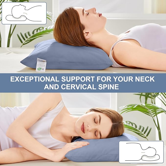 Organic Buckwheat Pillow for Sleeping with Dual-Layer Pillowcase and Extra Tartary Buckwheat Hulls, Adjust Height and Firmness, Neck Support Pillow for Back and Side Sleepers 14"x20", Baby Blue
