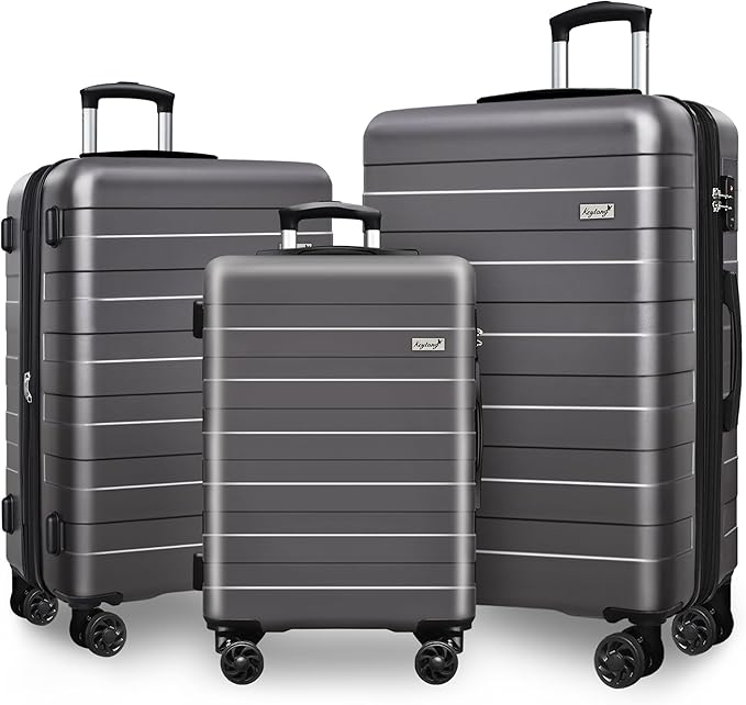 Zebra Luggage Sets 3 Piece, 20" Carry On Luggage with Spinner Wheels, Hardside Business Travel Suitcase Set with TSA Lock, Lightweight Suitcase,20/24/28 inch,Grey