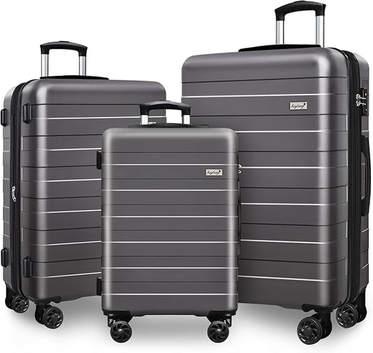 Zebra Luggage Sets 3 Piece, 20" Carry On Luggage with Spinner Wheels, Hardside Business Travel Suitcase Set with TSA Lock, Lightweight Suitcase,20/24/28 inch,Grey