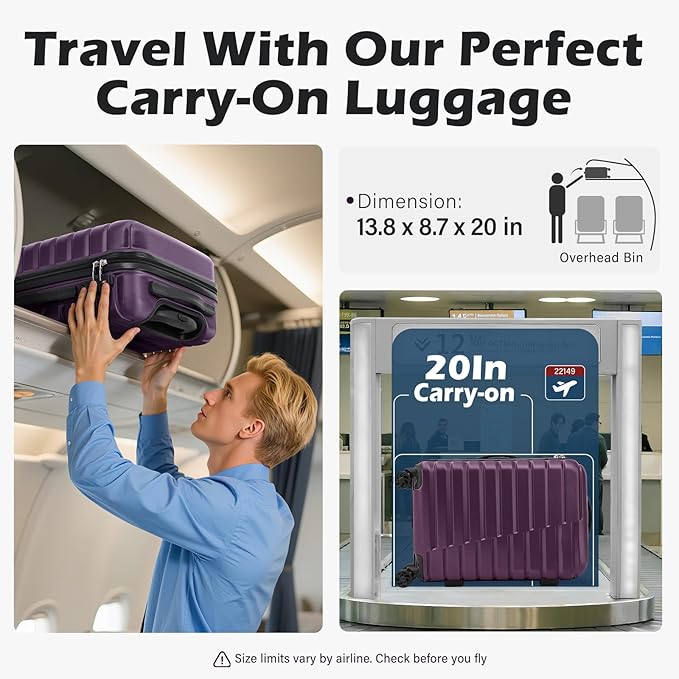 Coolife 20-Inch Small Carry on Hardside PC+ABS Spinner TSA Lock Telescopic Luggage Handle（20in-purple）