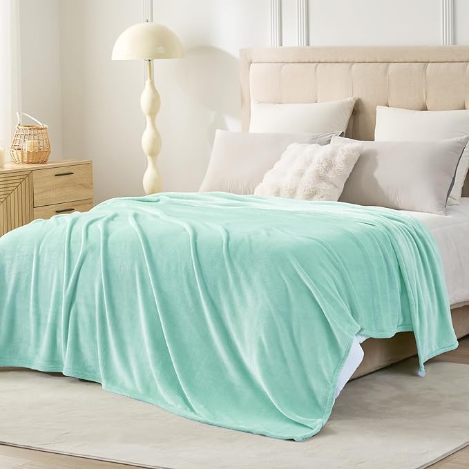 Hansleep Fleece Lake Green Queen Blanket, Super Soft Flannel Fuzzy Plush Cozy Blanket for All Seasons, Lake Green, Queen 90x90 Inches