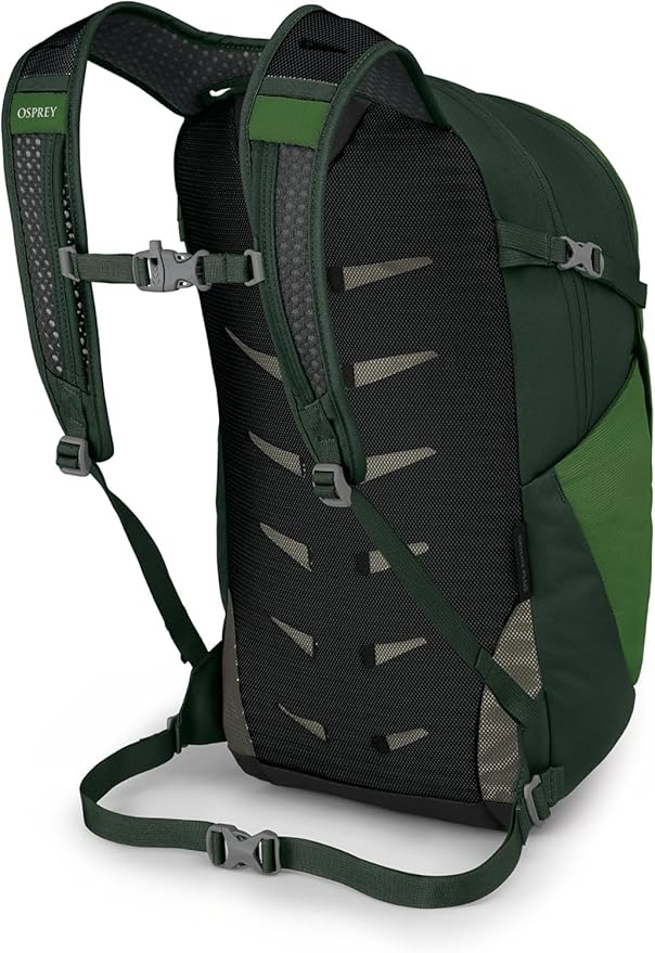 Osprey Daylite Plus Commuter Backpack - Lightweight, Everyday Pack with Laptop Sleeve and Water Bottle Pockets - Ideal for Work, School, and Travel with Versatile Storage, Green Belt/Green Canopy