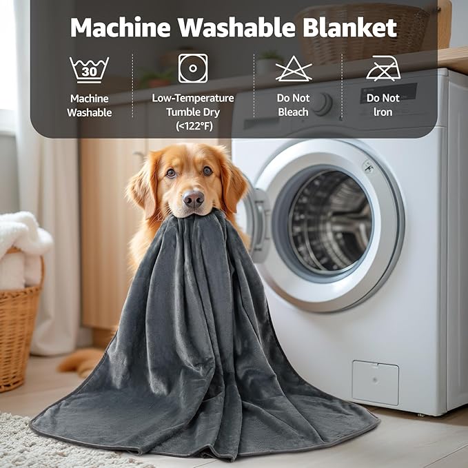 LOOBANI Waterproof Blanket for Bed: Reversible Soft Flannel Twin Bed Blanket 60" x 80", Leakproof Throw Spill-Proof Dog Pet Blanket for Couch, Sofa Protect, Movie Time, Camping, Travel, Grey
