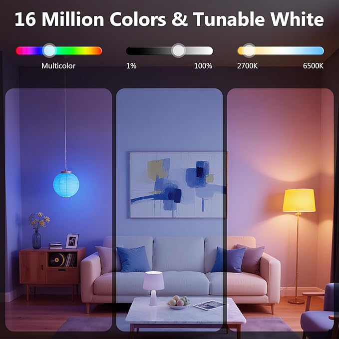 DAYBETTER Smart Light Bulbs,Compatible with Alexa & Google Home | A19 E26 Bulbs, 800LM 60W Equivalent,Dimmable RGB+CCT Color Changing,2.4GHz WiFi & Bluetooth,Music Sync,Preset Scenes