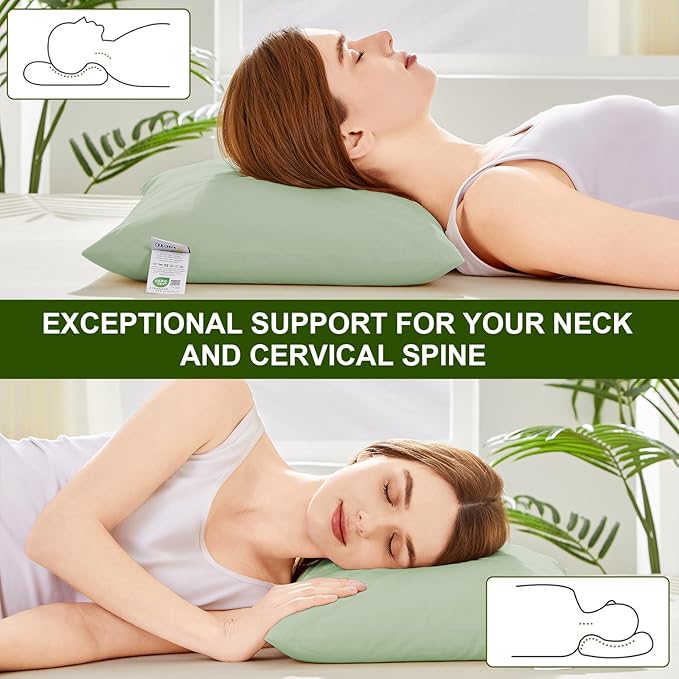 Organic Buckwheat Pillow for Sleeping with Dual-Layer Pillowcase and Extra Tartary Buckwheat Hulls, Adjust Height and Firmness, Neck Support Pillow for Back and Side Sleepers 20"x26", Sage Green