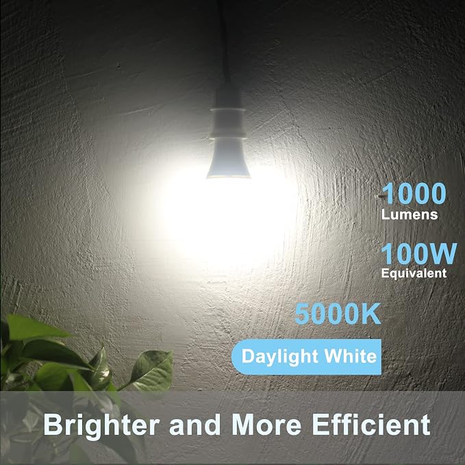 Qualilux Dusk to Dawn Light Bulbs, Auto On/Off Light Sensing LED Bulbs Outdoor, Daylight, A19 2-Pack, 12W 1000LM 75W Equivalent, HQ-H023