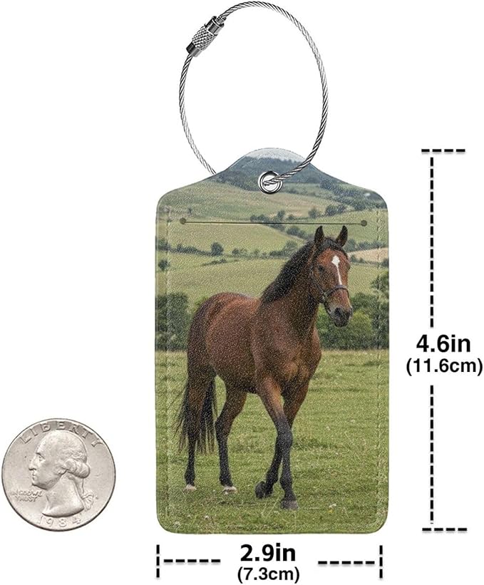 2 Pack Luggage Tags for suitcases Horse TSA Approved Label Luggage Tag Baggage Tag Leather Stainless Steel Loop Label Tag for Men Women Travel Bag Suitcase