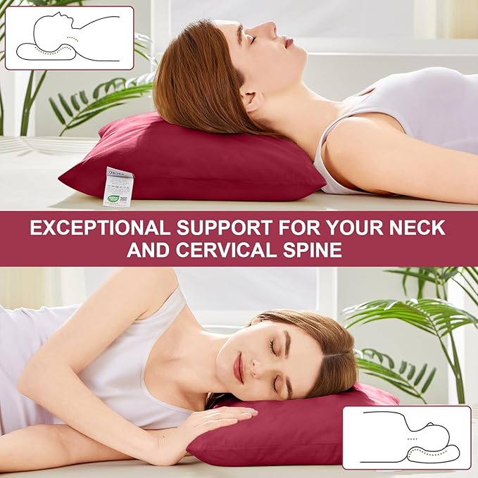 Organic Buckwheat Pillow for Sleeping with Dual-Layer Pillowcase and Extra Tartary Buckwheat Hulls, Adjust Height and Firmness, Neck Support Pillow for Back and Side Sleepers 14"x20", Burgundy