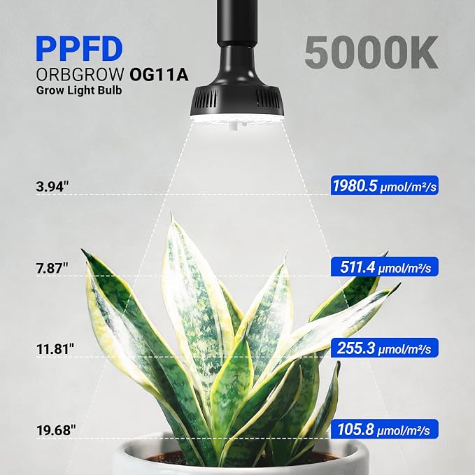 Barrina OG11A Grow Light Bulbs for Indoor Plant, 5000K 11W, 3 Packs, Black | Integrated Dimming & Timing, E26 Plant Light Bulb, Full Spectrum, High PPFD for Seeds and Greens