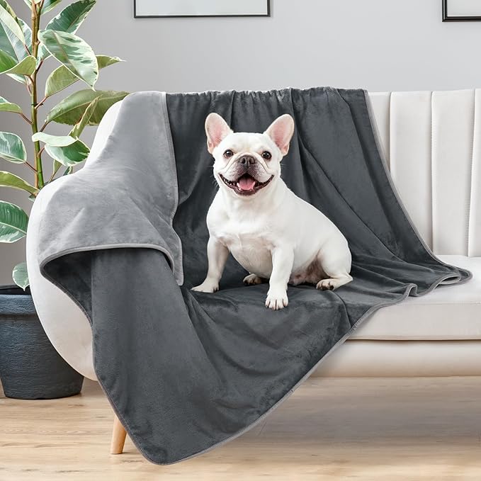 LOOBANI Waterproof Dog Blanket for Bed: Spill-Proof Puppy Blankets for Small Medium Dogs Washable, Reversible Soft Flannel Pet Throw for Couch Sofa Cover, Crate, Travel, Picnic, 30" x 40", Grey