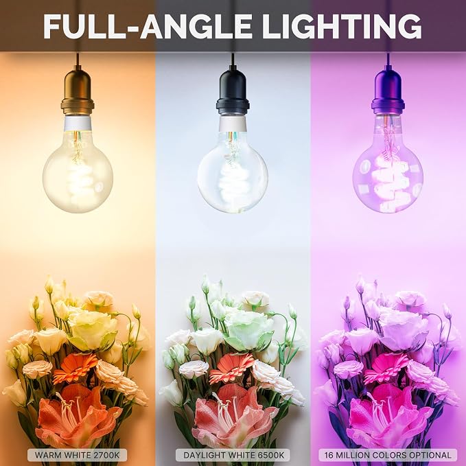 MOES Smart G80 Edison LED Light Bulbs, Color Changing WiFi G25 Smart Bulbs, 2700K-6500K CW& RGB Dimmable, Smart Life Remote Control, Work with Alexa/Google Home, 470lm 5W (40W Equivalent) 2 Pack