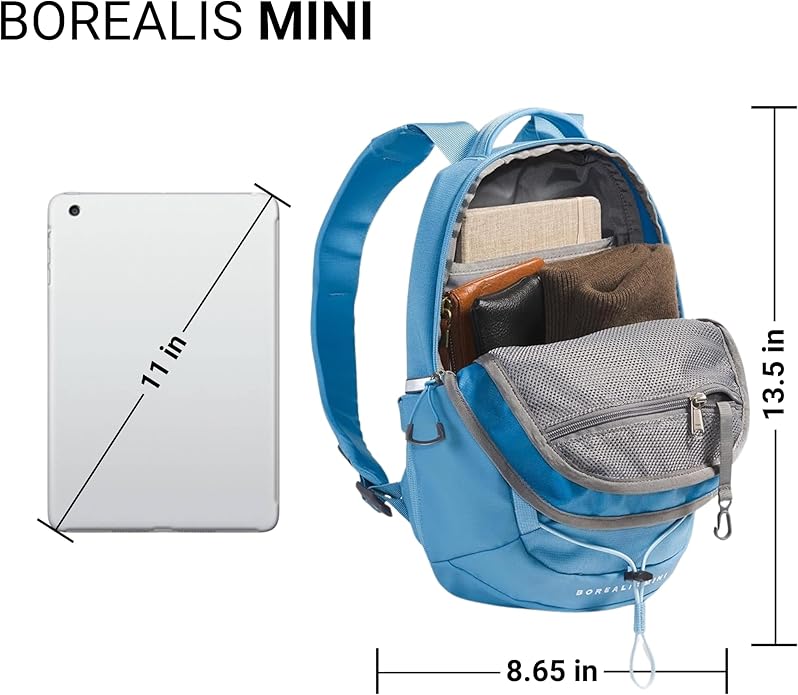 THE NORTH FACE Borealis MINI Backpack