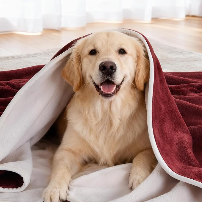 LOOBANI Waterproof Dog Blanket for Couch: Reversible Flannel Bed Blanket for Medium Large Dogs Liquid Proof, Soft Throw Blanket Couch Cover Protector for Sofa, Crate, Travel, Picnic, 50" x 60", Red