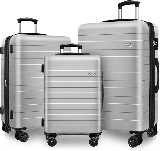 Zebra Luggage Sets 3 Piece, 20" Carry On Luggage with Spinner Wheels, Hardside Business Travel Suitcase Set with TSA Lock, Lightweight Suitcase,20/24/28 inch,Silver