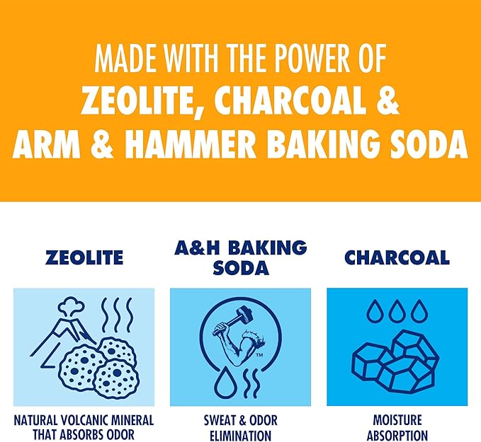Arm & Hammer In-Shoe Odor Destroying Pouches, Shoe Deodorizer Insert for Reducing Odor and Absorbing Moisture, Smell Eliminator for All Footwear, Gym Bags and Work Boots (4 Pouches)