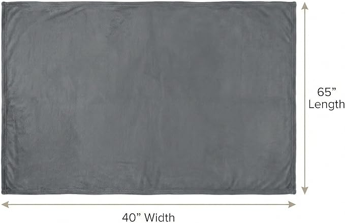 EverSnug Travel Blanket and Pillow - Premium Soft 2 in 1 Airplane Blanket with Soft Bag Pillowcase, Hand Luggage Sleeve and Backpack Clip (Grey)