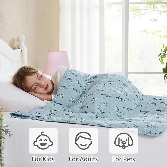 L'AGRATY Weighted Blanket - 36"x48" 3lbs Microfiber Material with Glass Beads Small Blanket for All-Season Summer Fall Winter Soft Thick