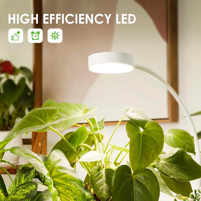 LORDEM Small Pot Clip Grow Light, Full Spectrum LED Plant Grow Lamp for Indoor Growing, Auto On/Off Timer 4/8/12H, Plant Light with 4 Dimmable Brightness Levels, Ideal for Small Indoor Plants, 2 Pack