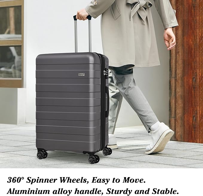 Zebra Luggage Sets 3 Piece, 20" Carry On Luggage with Spinner Wheels, Hardside Business Travel Suitcase Set with TSA Lock, Lightweight Suitcase,20/24/28 inch,Grey