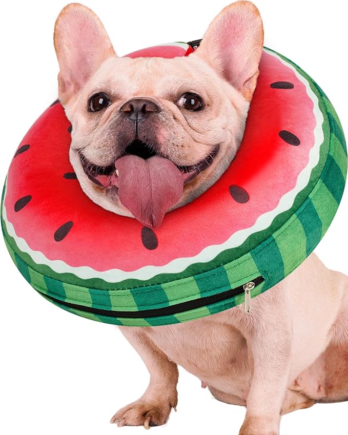 Inflatable Dog Pillow Cone Collar After Surgery, Donut Soft Neck Cone for Pug Dachshund Medium Dogs, etc, Recovery E Collar to Stop Licking Watermelon