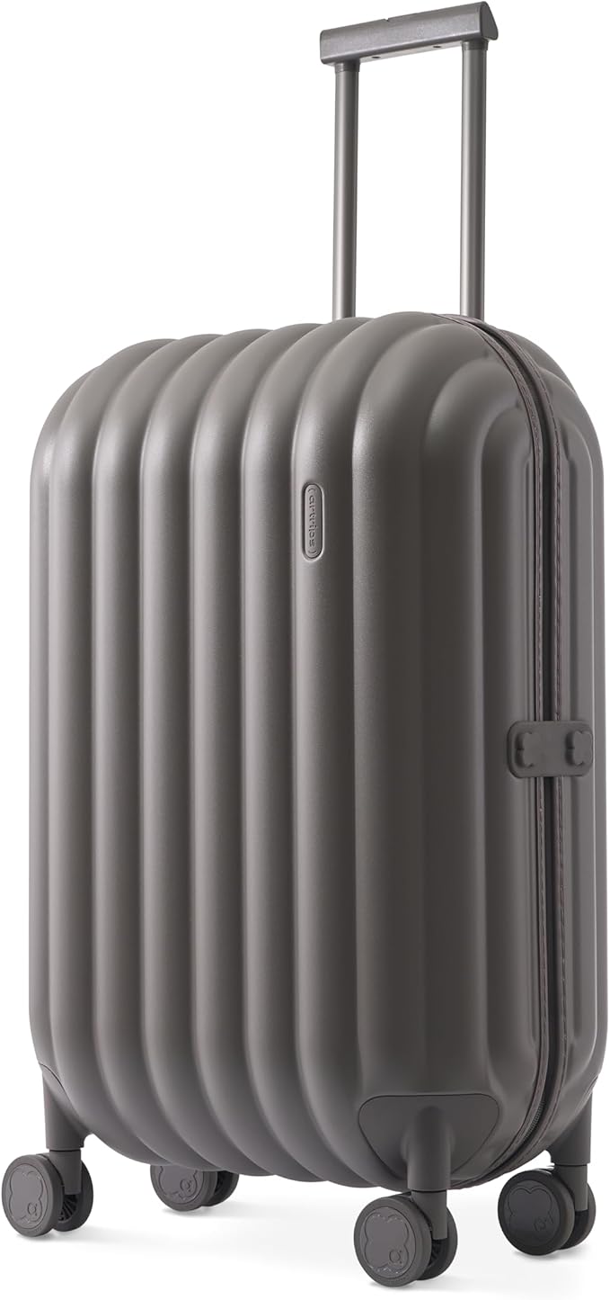 artrips Checked Luggage 24 Inch, Lightweight Hard Shell Suitcase with Spinner Wheels, Medium Travel Suitcase for 4–7 Day Trips, Grey
