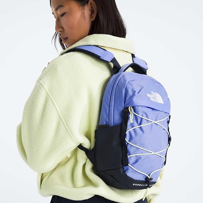 THE NORTH FACE Borealis MINI Backpack