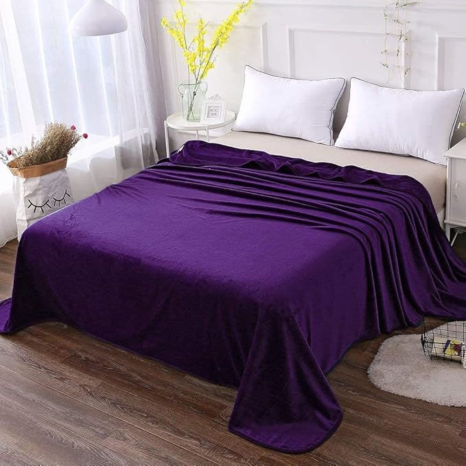 HOZY Soft Blanket Queen Size Fleece Warm Fuzzy Bed Blankets for The Bed Sofa Lightweight 350GSM Purple 90"*90"
