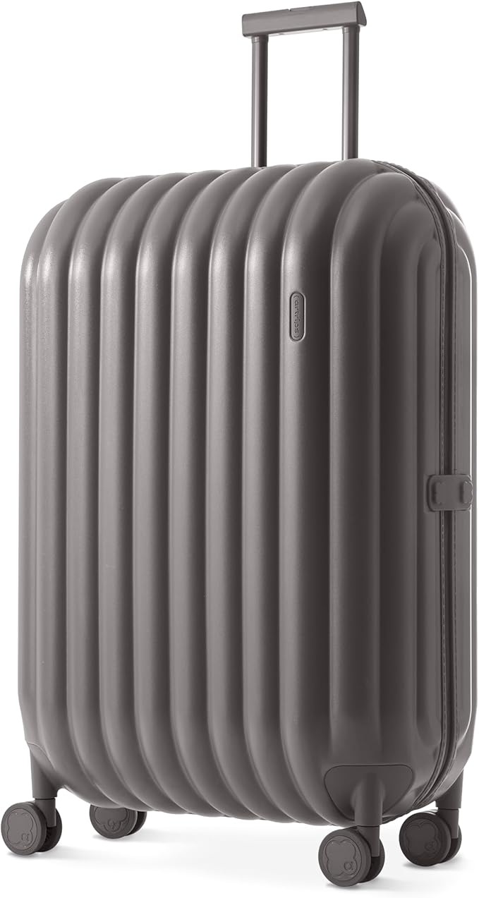 artrips Large Checked Luggage 28 Inch, Hard Shell Suitcase with Spinner Wheels, Large Travel Suitcase for Long Trips and Family Travel, Grey