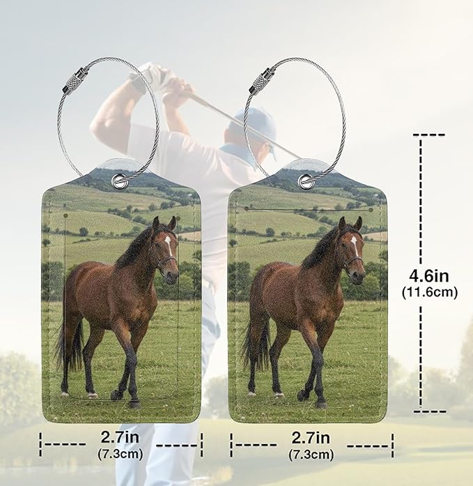 2 Pack Luggage Tags for suitcases Horse TSA Approved Label Luggage Tag Baggage Tag Leather Stainless Steel Loop Label Tag for Men Women Travel Bag Suitcase