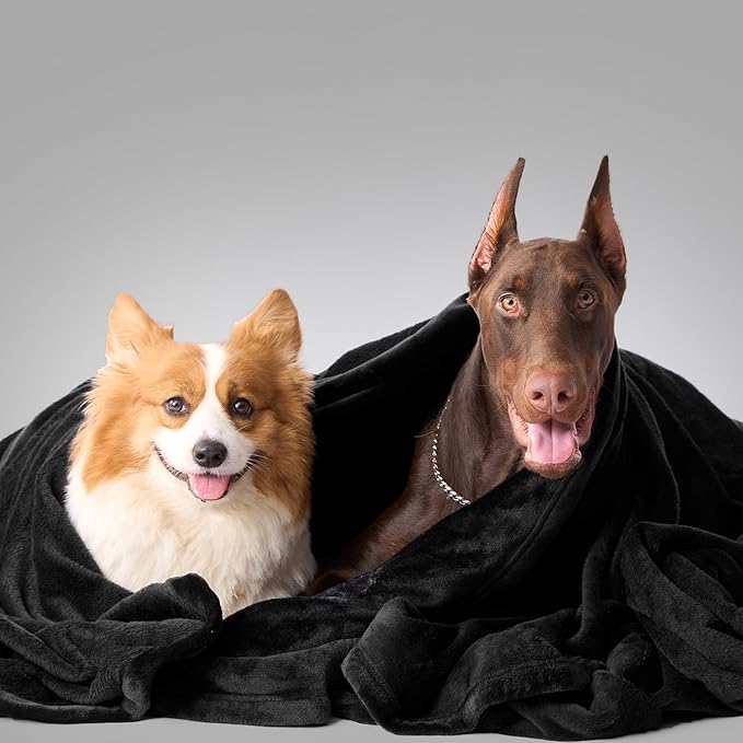 Hansleep Fleece Black Twin Blanket, Super Soft Flannel Fuzzy Plush Cozy Blanket for All Seasons, Black, Twin 60x80 Inches