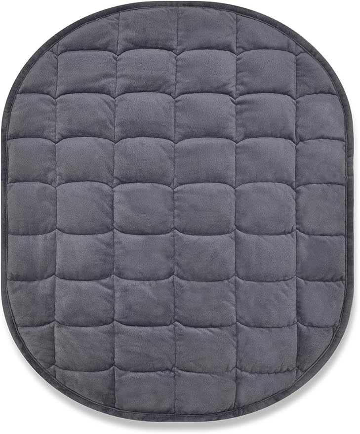 TONGDADA Weighted Lap Blanket 7lbs for Adult,Perfect for Relaxation, Lounging, Napping, Sleeping & Travel,Luxury Minky Weighted Body Blanket,Weighted Throw Blanket-Dark Grey Minky, 29" x 24"