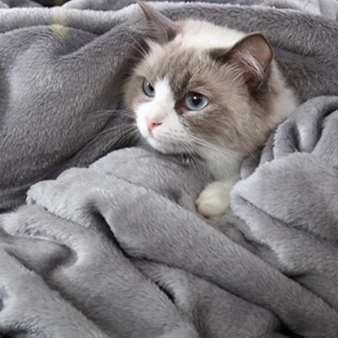 Hansleep Fleece Grey Throw XL Blanket, Super Soft Flannel Fuzzy Plush Cozy Blanket for All Seasons, Grey, Throw XL 50x70 Inches