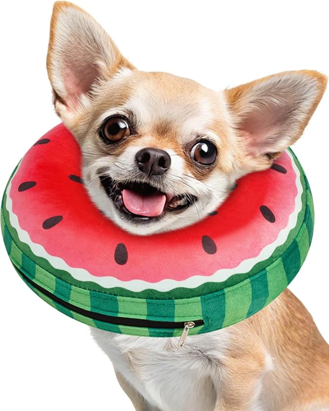 Inflatable Dog Pillow Cone Collar After Surgery, Donut Soft Neck Cone for Chihuahua Pomeranian Small Dogs, etc, Recovery E Collar to Stop Licking Watermelon