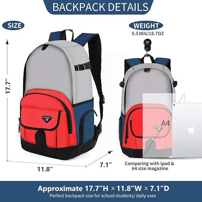 rickyh style School Backpack Travel Bag for Men & Women Lightweight College Back Pack with Laptop Compartmen