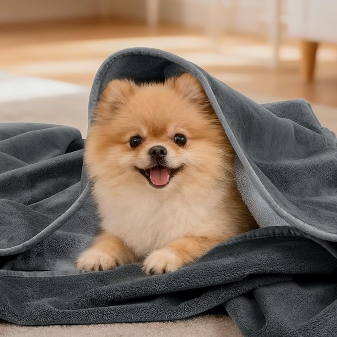 LOOBANI Waterproof Dog Blanket for Bed: Spill-Proof Puppy Blankets for Small Medium Dogs Washable, Reversible Soft Flannel Pet Throw for Couch Sofa Cover, Crate, Travel, Picnic, 30" x 40", Grey