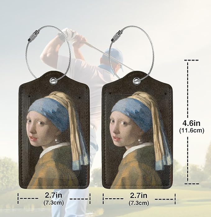 2 Pack Luggage Tags for suitcases TSA Approved Label Luggage Tag Baggage Tag Leather Stainless Steel Loop Label Tag for Men Women Travel Bag Suitcase