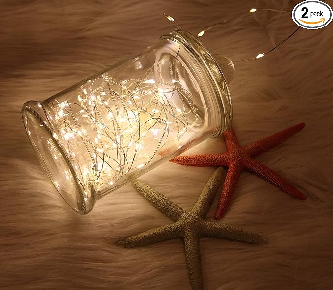 WSgift 2 Pack 20 Feet 60 Warm White Led Battery Operated Fairy Lights with Remote Control Timer Waterproof Silver Copper Wire Twinkle String Lights for Party Bedroom Wedding Christmas Decorations