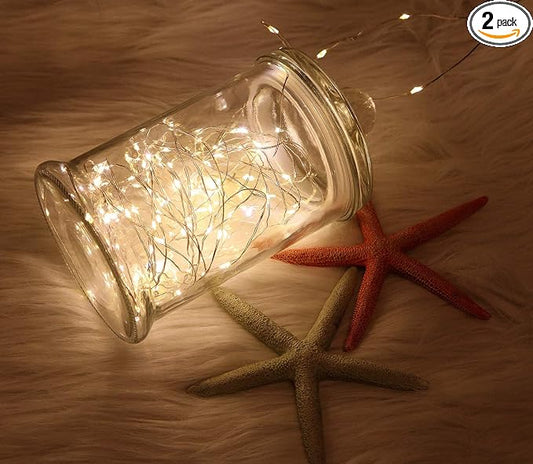 WSgift 2 Pack 20 Feet 60 Warm White Led Battery Operated Fairy Lights with Remote Control Timer Waterproof Silver Copper Wire Twinkle String Lights for Party Bedroom Wedding Christmas Decorations