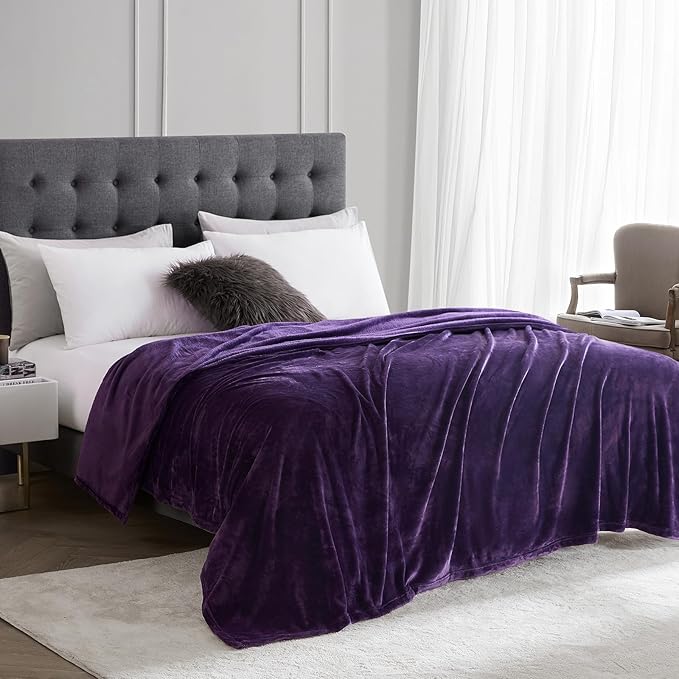 Hansleep Fleece Queen Blanket for Bed Fleece Purple, Queen Size Super Soft Flannel Fuzzy Plush Cozy Blanket for All Seasons, Purple, Queen 90x90 Inches