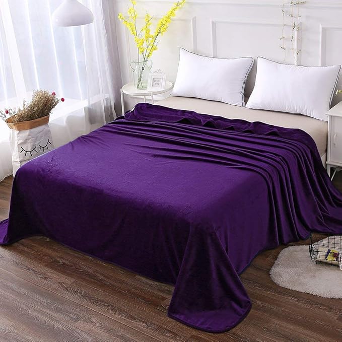 HOZY Soft Blanket Twin Size Fleece Warm Fuzzy Throw Blankets for The Bed Sofa Lightweight 350GSM Purple 66"*90"