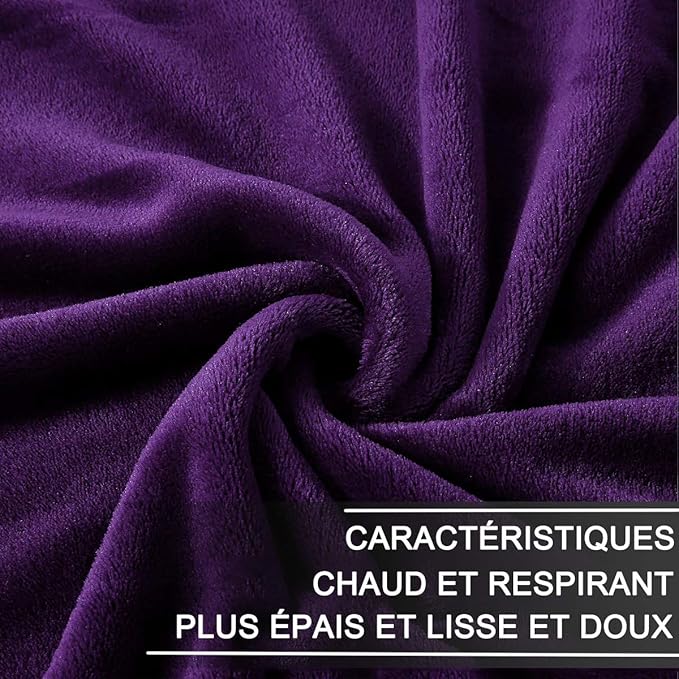 HOZY Soft Blanket Twin Size Fleece Warm Fuzzy Throw Blankets for The Bed Sofa Lightweight 350GSM Purple 66"*90"