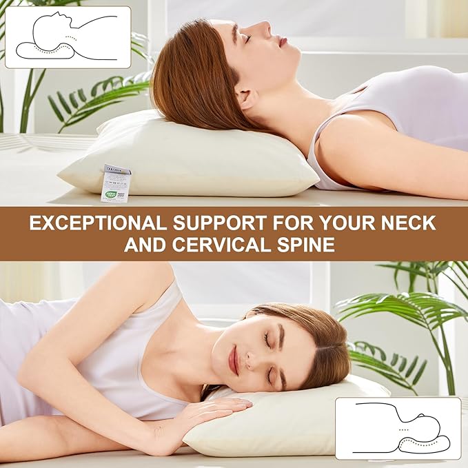 Organic Buckwheat Pillow for Sleeping with Dual-Layer Pillowcase and Extra Tartary Buckwheat Hulls, Adjust Height and Firmness, Neck Support Pillow for Back and Side Sleepers 14"x20"