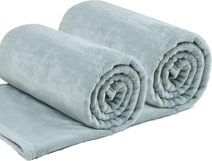 EIUE Comfortable Flannel Fleece Blanket,2 Packs Throw Size Lightweight Nap Quilt Blanket for Home, Office and Outdoor Travel,for Adults and Kids.(2 Packs,40x60 inch)
