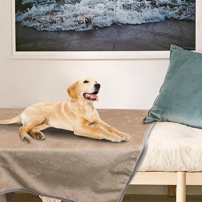 Onarway Dog Blanket Washable for Puppy: 4 Packs Dog Blankets 40”x28” - Fluffy Soft Small Throw for Cat Puppy Kitten Dogs - Fleece Pet Blankets for Bed Sofa Car and Indoor - Khaki