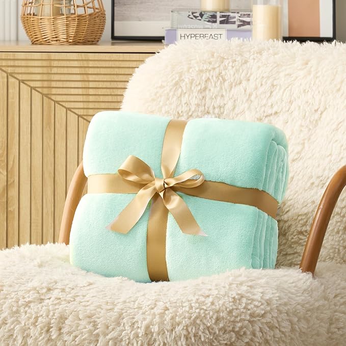 Hansleep Fleece Lake Green Full Blanket, Super Soft Flannel Fuzzy Plush Cozy Blanket for All Seasons, Lake Green, Full 84x90 Inches