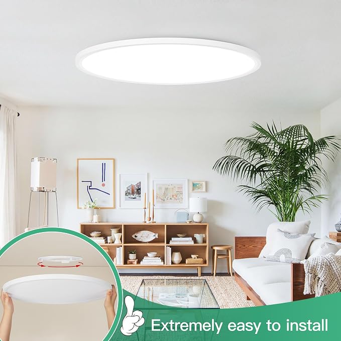19 Inch Dimmable Large Flush Mount Ceiling Light Fixture, 4200LM | 36W 2700K/3000K/4000K/5000K/6500K Selectable Round Flat Panel Light, 0.67" Ultra Thin LED Ceiling Lamp for Living Room, White