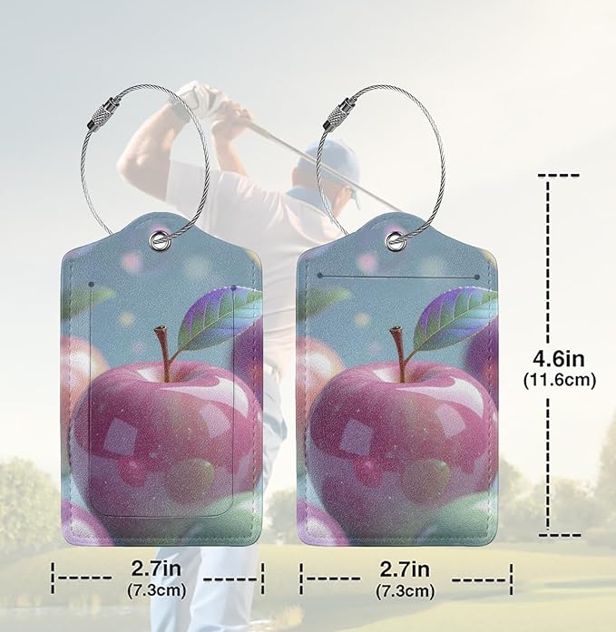 2 Pack Luggage Tags for suitcases Apple TSA Approved Label Luggage Tag Baggage Tag Leather Stainless Steel Loop Label Tag for Men Women Travel Bag Suitcase