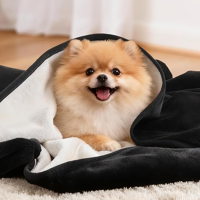 LOOBANI Waterproof Dog Blanket for Couch: Reversible Flannel Bed Blanket for Medium Large Dogs Liquid Proof, Soft Throw Blanket Couch Cover Protector for Sofa, Crate, Travel, 50" x 60", Black & Beige