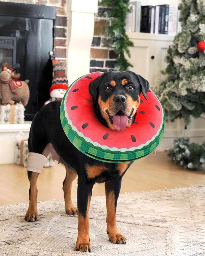 Inflatable Dog Pillow Cone Collar After Surgery, Donut Soft Neck Cone for Chihuahua Pomeranian Small Dogs, etc, Recovery E Collar to Stop Licking Watermelon